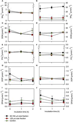 Dissolved Compounds Excreted by Copepods Reshape the Active Marine Bacterioplankton Community Composition